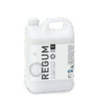REGUM