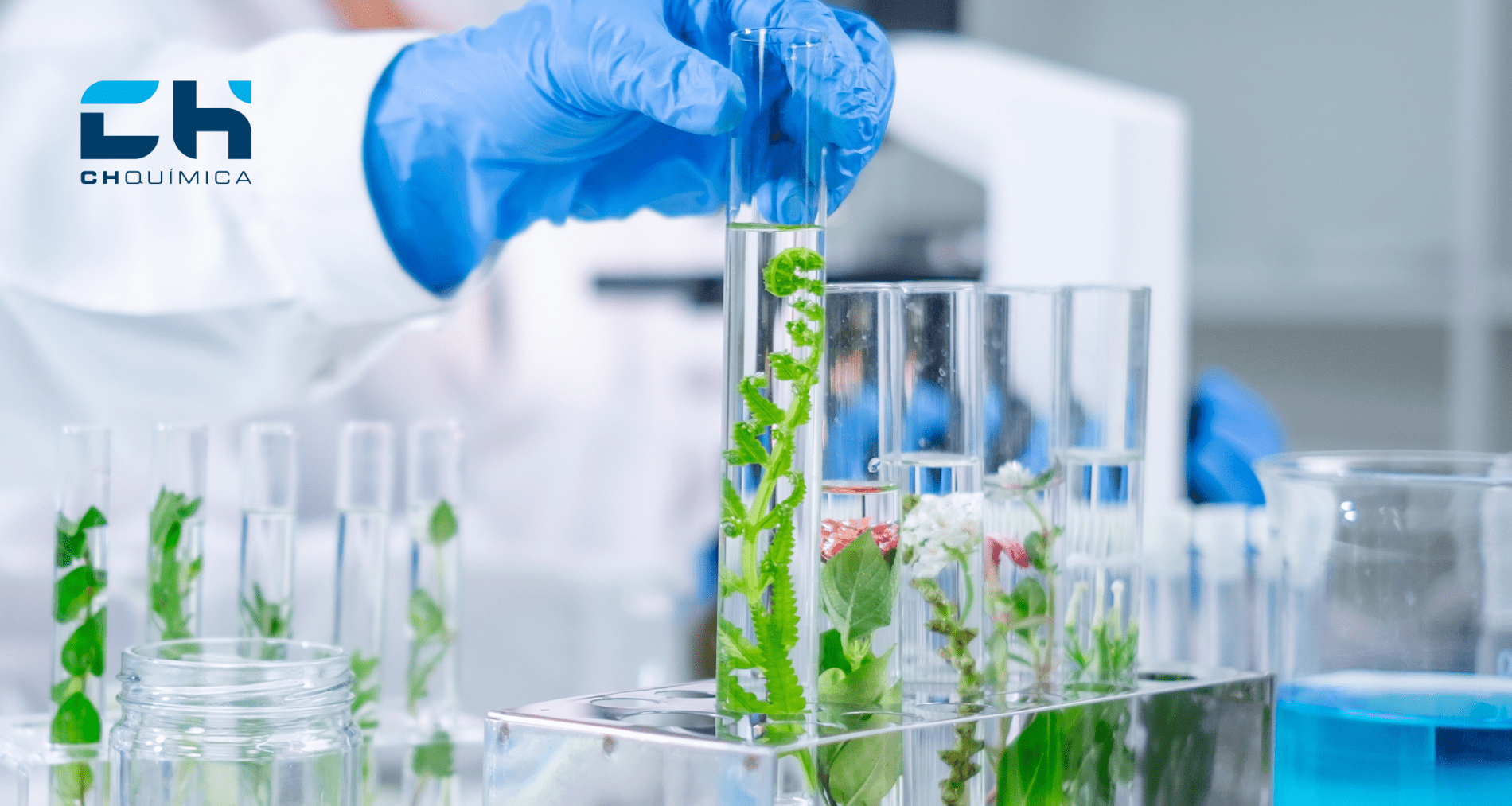 Productos químicos seguros y sostenibles